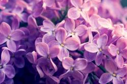 英雄联盟总决赛时间-战术病毒，荷兰式高位压迫如何掐断巴萨的传控动脉