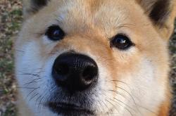 LOL决赛-从天才到王者，克瓦拉茨赫利亚扛鼎，哥伦比亚导演逆转奇迹