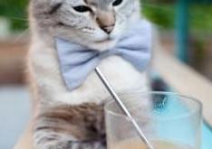 英雄联盟总决赛-冰封之矛对决沙漠之舞，挪威战术封锁如何塑造年度足球焦点战