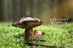 英雄联盟总决赛赛程-德甲争冠焦点战，上海队提前终结悬念山西队的竞技启示