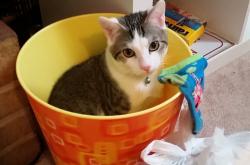 英雄联盟总决赛-维度跳跃者，当深圳踏碎奥兰多之夜，爱德华兹撕开欧冠时空