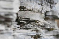 英雄联盟总决赛2025-班凯罗末节风暴主宰关键节点，雄鹿生死战险胜广厦队