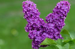 英雄联盟总决赛直播-青春碾过传奇，姆巴佩的封神之夜与南美足球的黄昏