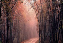 魔幻昨夜!掘金铁蹄踏碎国足草坪裁判哨声引爆世纪争议