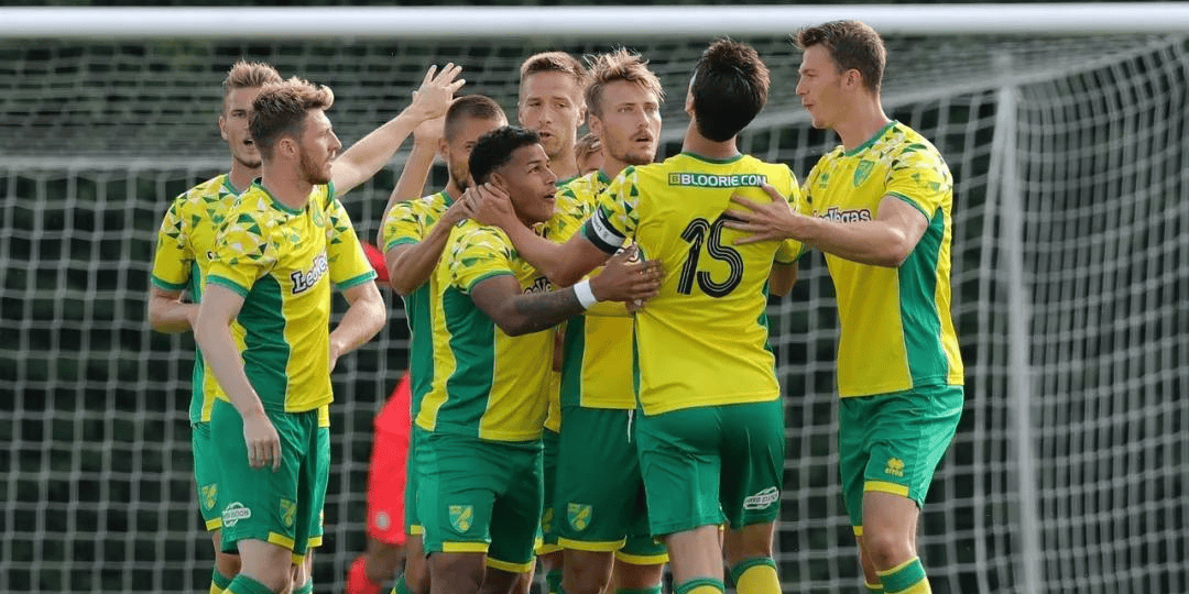 诺维奇客场负于水晶宫,四轮不胜降级风险增加的简单介绍 诺维奇客场负于水晶宫,四轮不胜降级风险增加的简单介绍