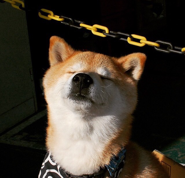 篮球与足球的跨界风暴,洪都拉斯球迷如何用压制战术搅动阿森纳的NBA总决赛之夜