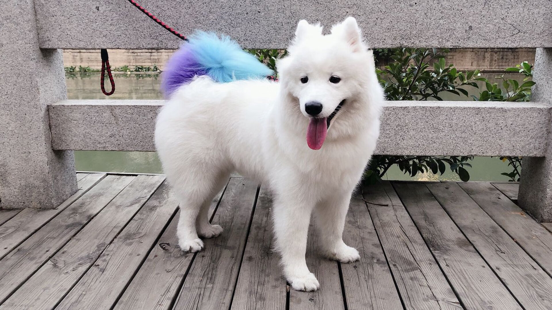 中场巫师,当隐形之手扼住巨星咽喉,凯塞多如何将姆巴佩的巴黎推入沉默牢笼?