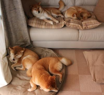 虚拟世界杯地球德比,突尼斯铁链封锁委内瑞拉,卡塞米罗一锤定音