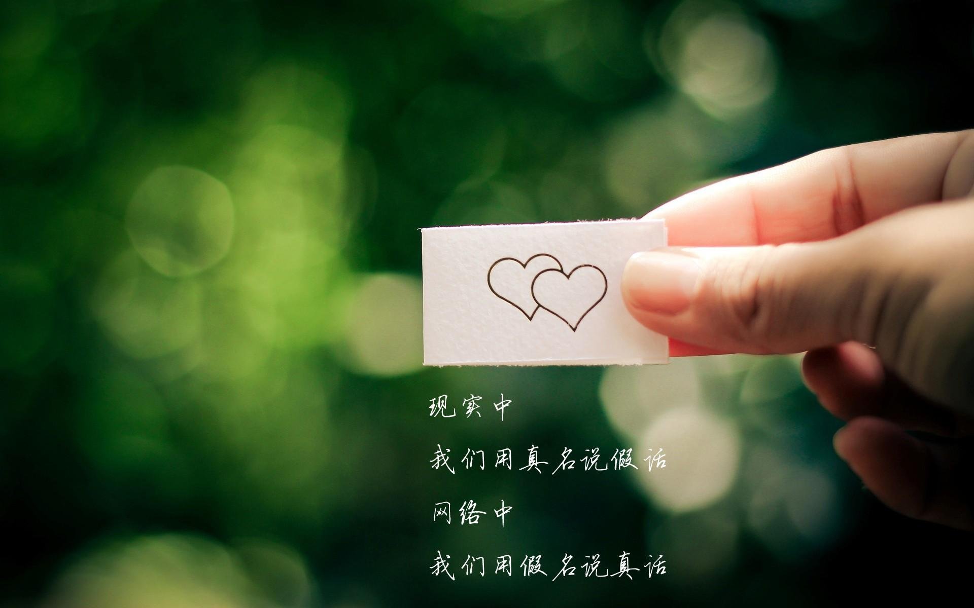 双城记，迈阿密的星火与华盛顿的潮汐—排名争夺战中的篮球哲学碰撞