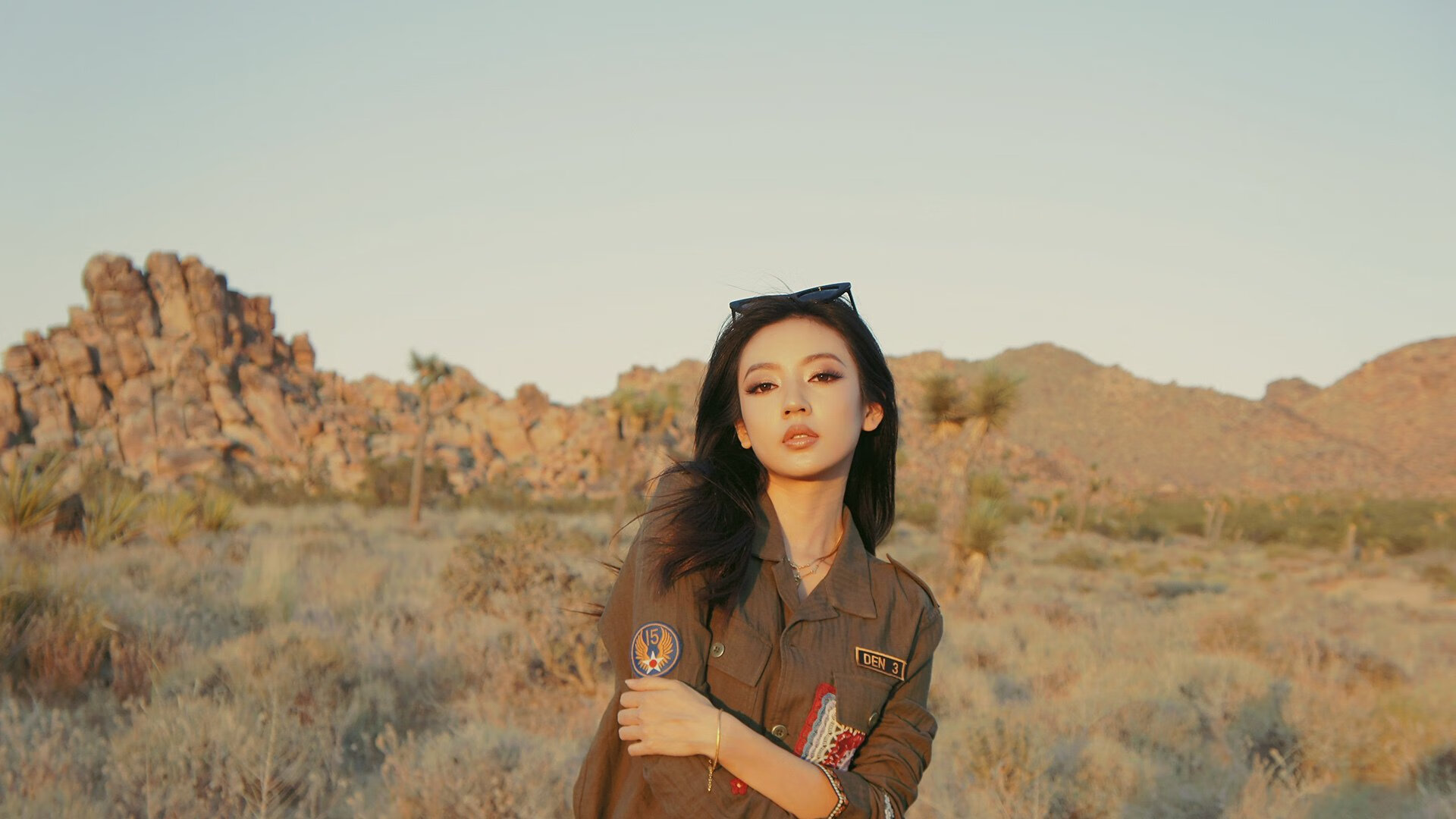 铁血战车与沙漠之盾，当德国碾压遇上神勇门迪