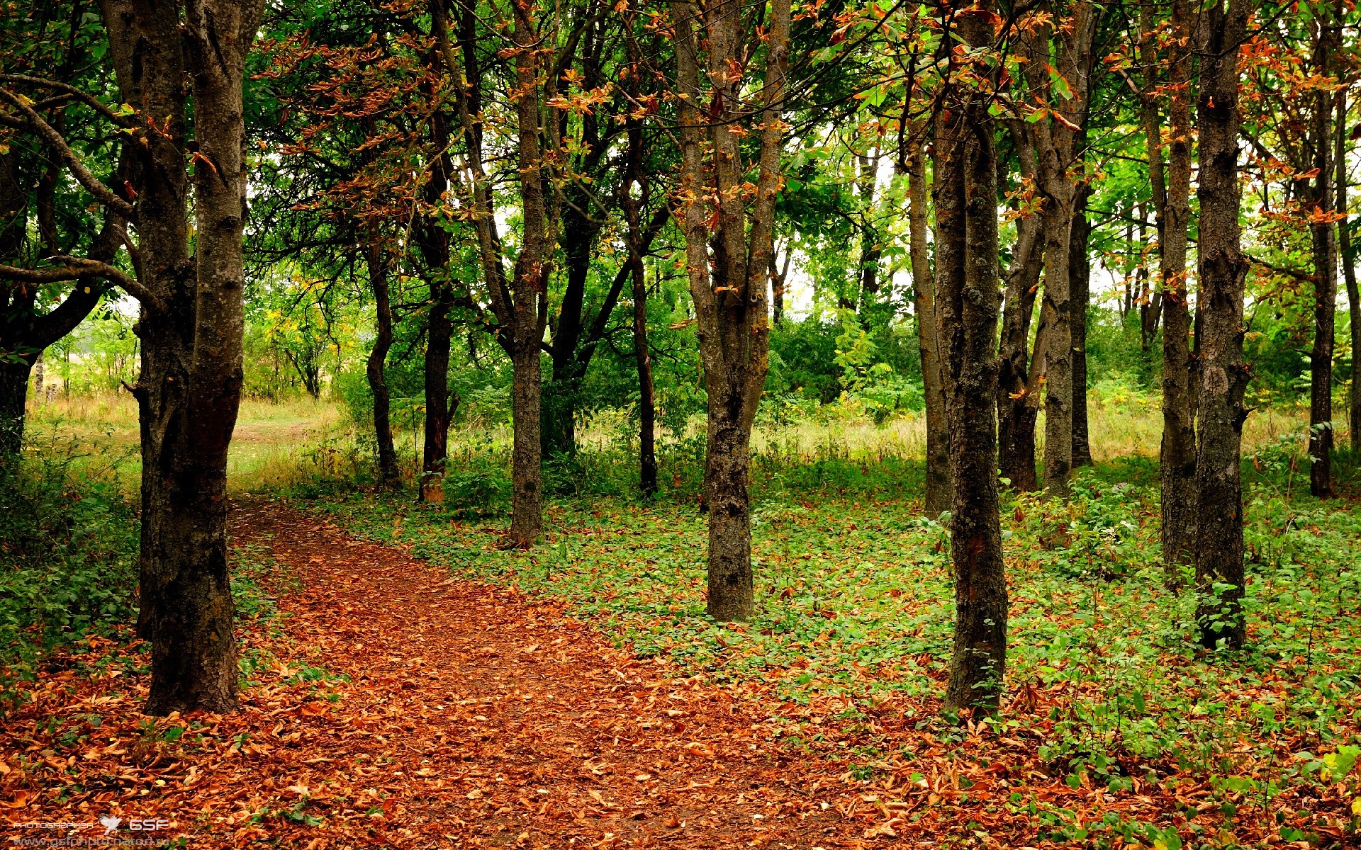 红魔怒吼，比利时铁壁击溃巴黎，弗拉霍维奇一剑封喉梦碎王子公园