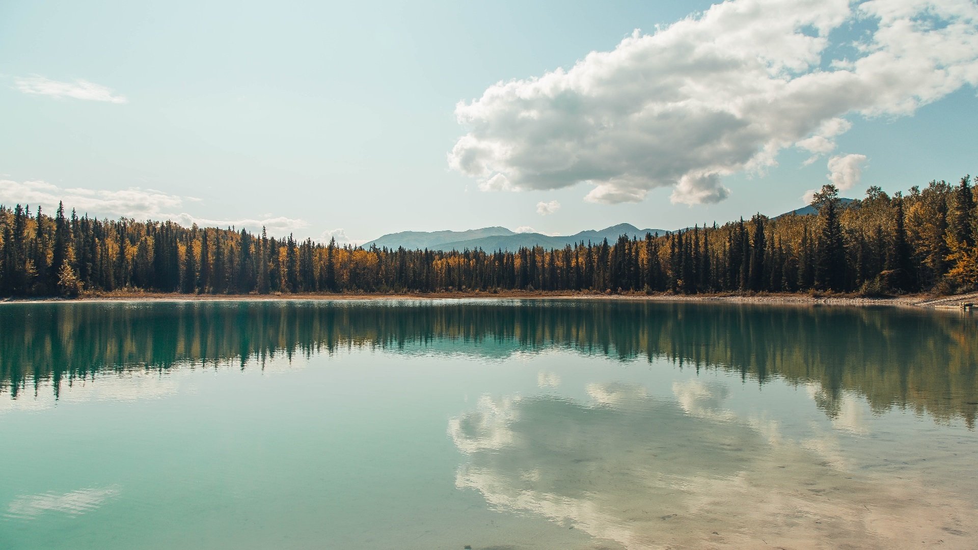 赛道与球场的双城记,当极速狂飙遇见篮球华尔兹