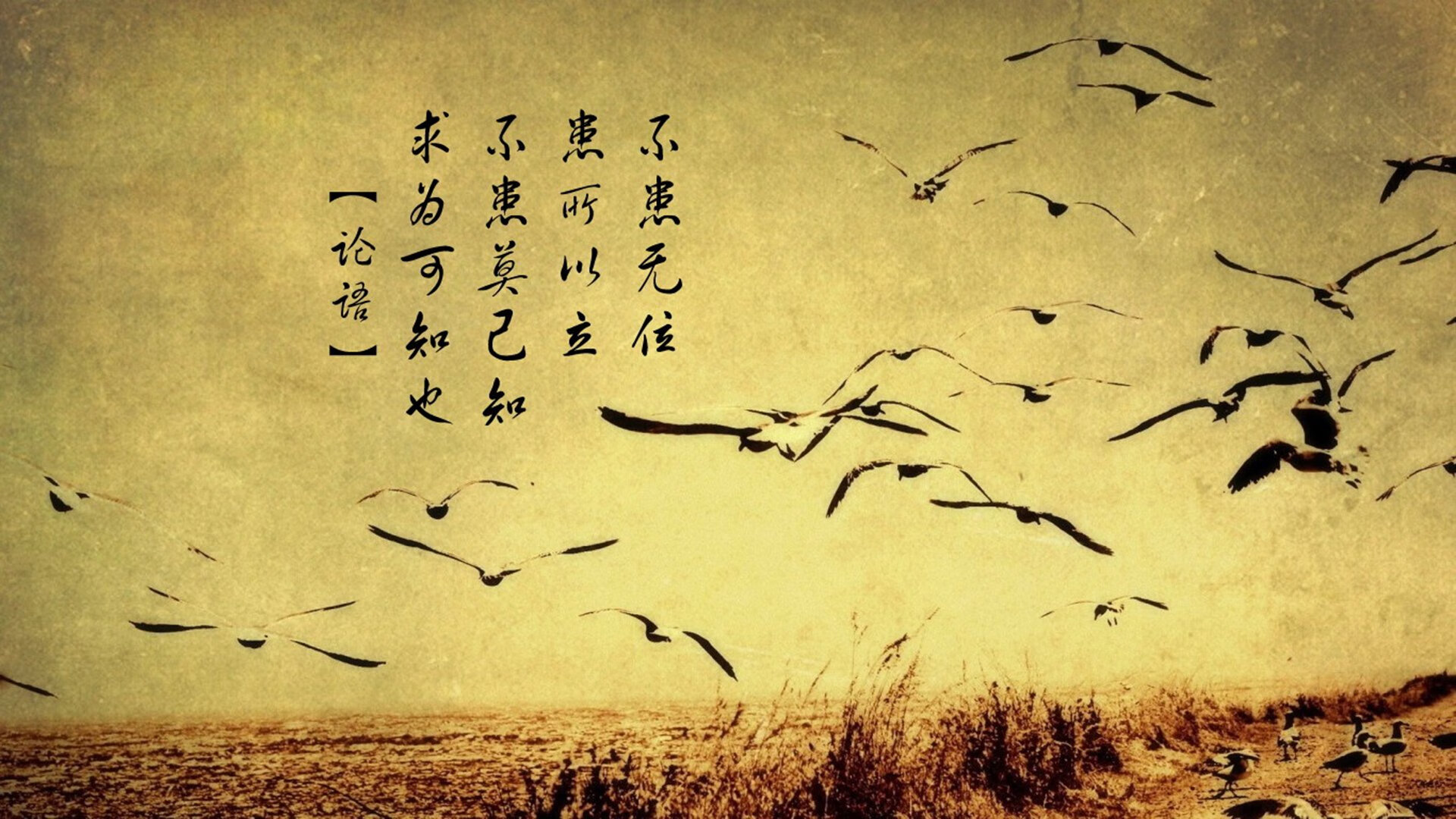 跨越联赛的统治，拉文45分演绎新疆风暴如何全面压制马刺体系