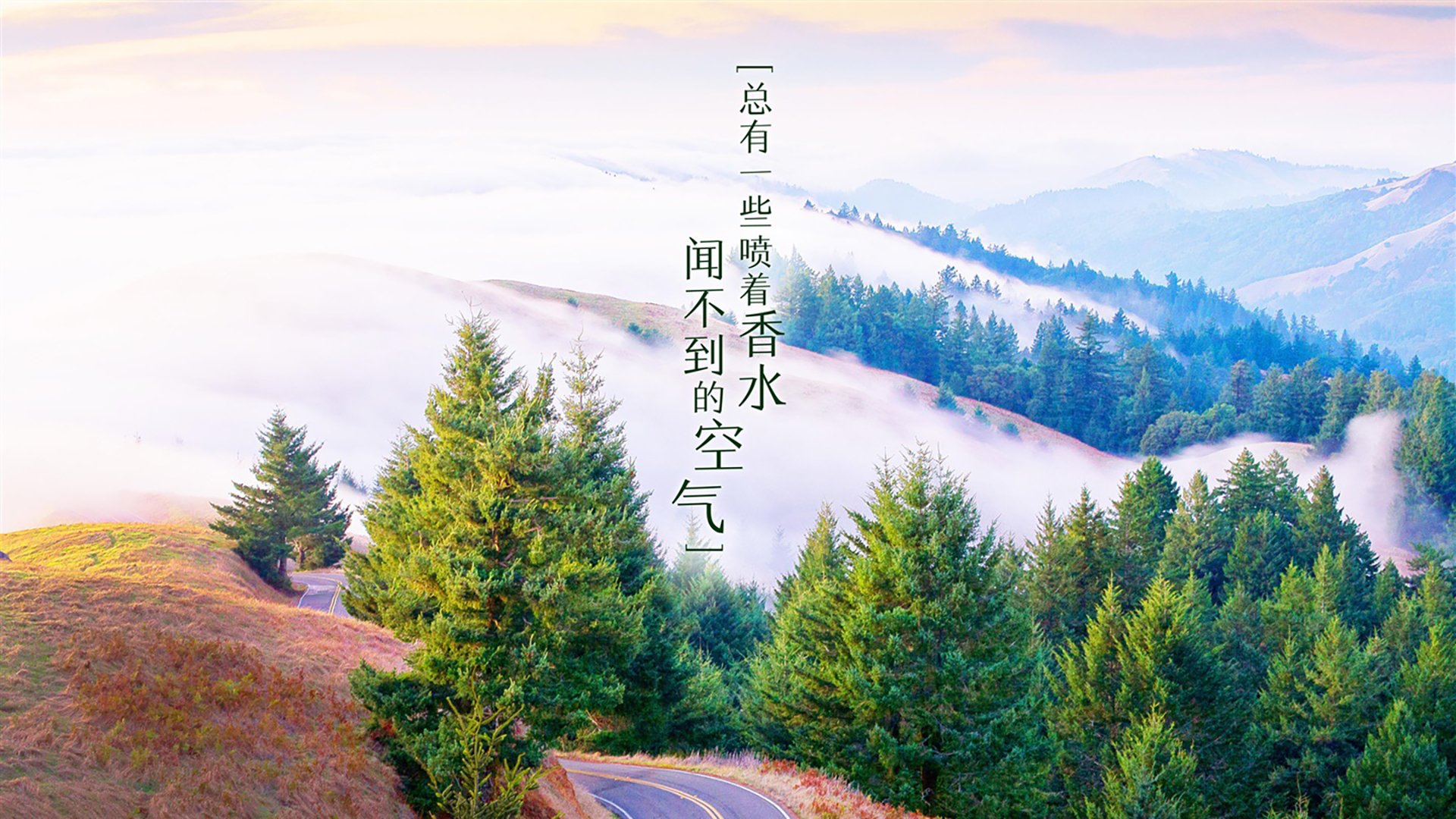 北欧冰锋,2026世界杯复仇之战,瑞典铁血防线与费利克斯的致命一击