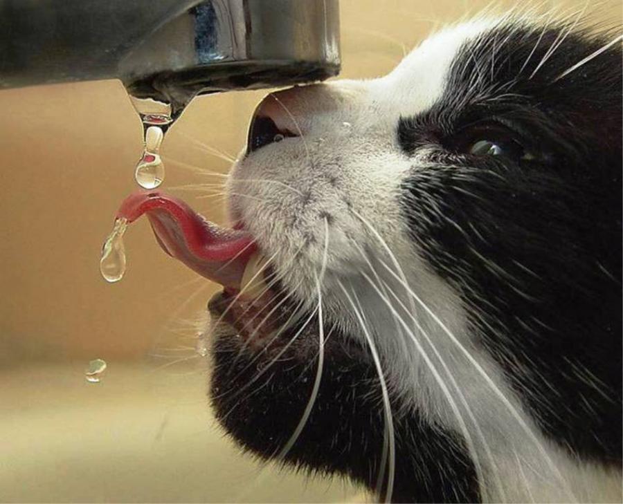 当探戈遇上金猴，2026世界杯A组，阿根廷的优雅压制与福登一个人的风暴