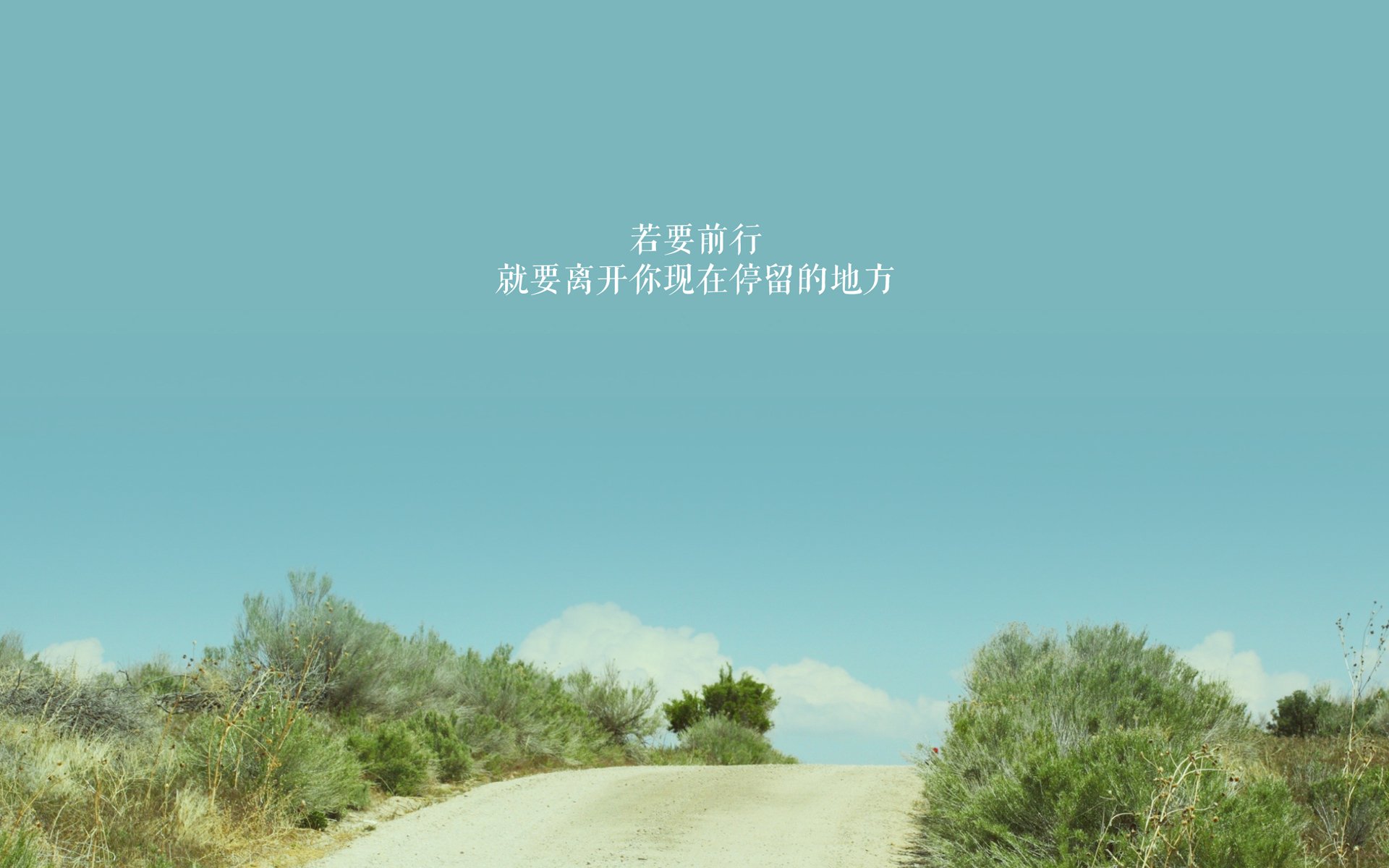 沙漠绿洲与东欧铁骑的博弈，阿方索·戴维斯如何用速度定义2026世界杯A组生死战