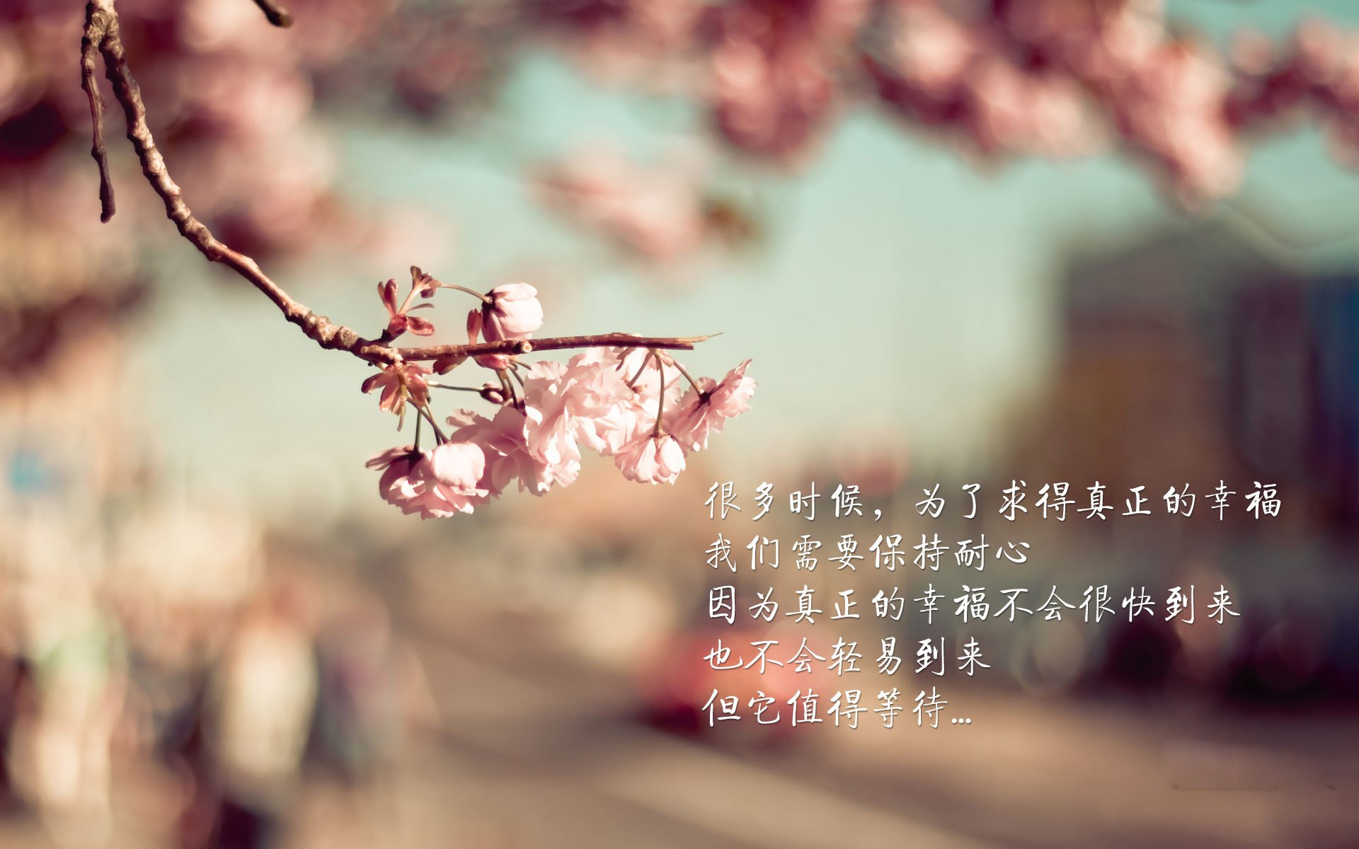 九十分钟的孤本，2026世界杯决赛，塞尔维亚的钢铁防线与凯恩的不朽孤影