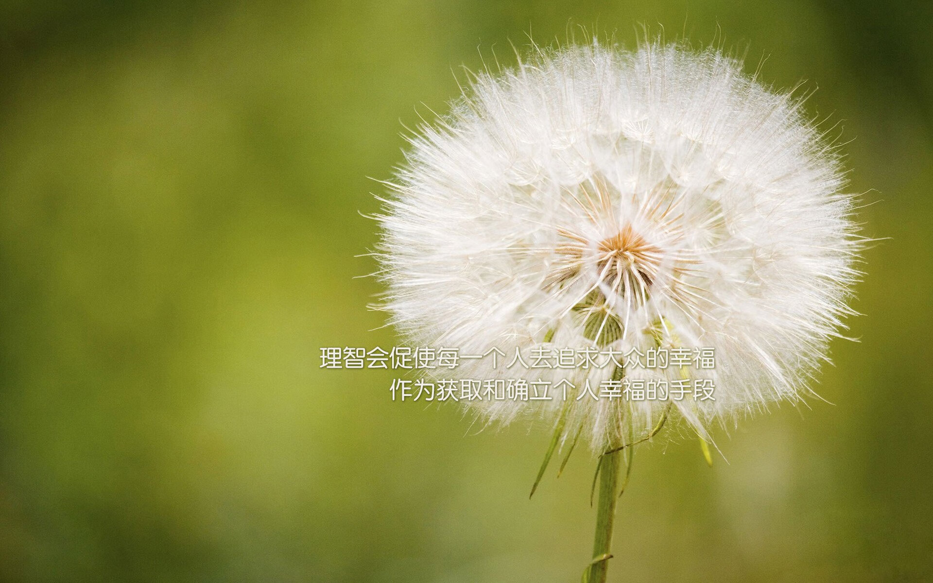 美加冰火战，布罗佐维奇用唯一定义2026世界杯F组生死局